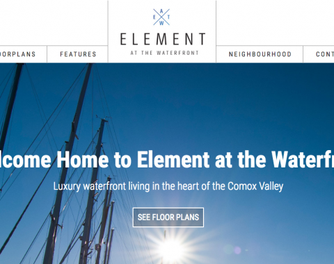 Element website screenshot